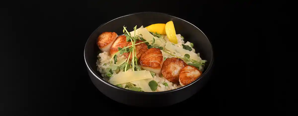 Day Boat Scallops Day Boat Scallops